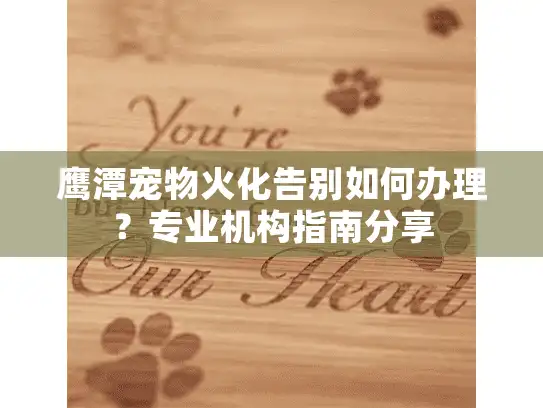 鹰潭宠物火化告别如何办理？专业机构指南分享