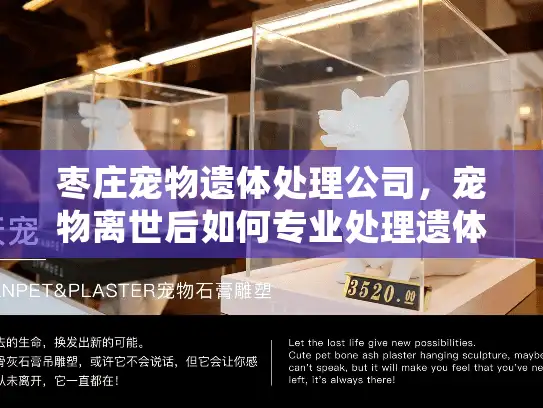 枣庄宠物遗体处理公司，宠物离世后如何专业处理遗体？