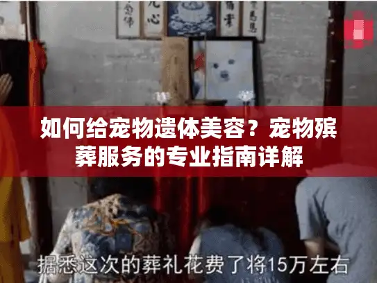 如何给宠物遗体美容？宠物殡葬服务的专业指南详解