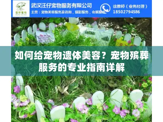 如何给宠物遗体美容？宠物殡葬服务的专业指南详解