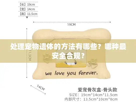 处理宠物遗体的方法有哪些？哪种最安全合规？