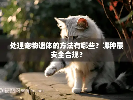 处理宠物遗体的方法有哪些？哪种最安全合规？