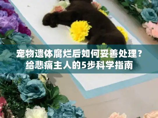 宠物遗体腐烂后如何妥善处理？给悲痛主人的5步科学指南