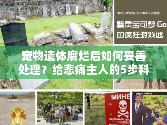 宠物遗体腐烂后如何妥善处理？给悲痛主人的5步科学指南