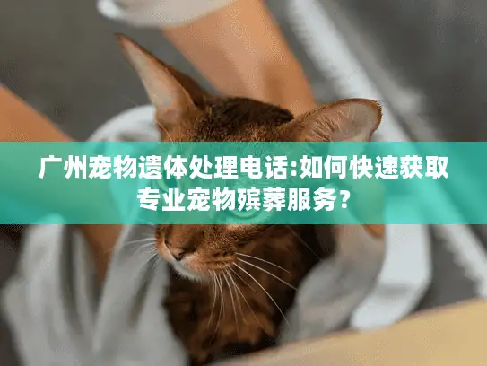 广州宠物遗体处理电话:如何快速获取专业宠物殡葬服务？