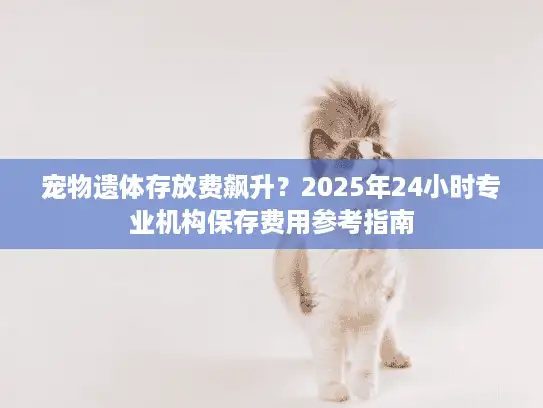宠物遗体存放费飙升？2025年24小时专业机构保存费用参考指南