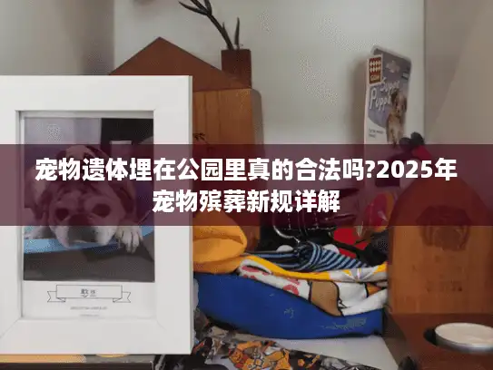 宠物遗体埋在公园里真的合法吗?2025年宠物殡葬新规详解