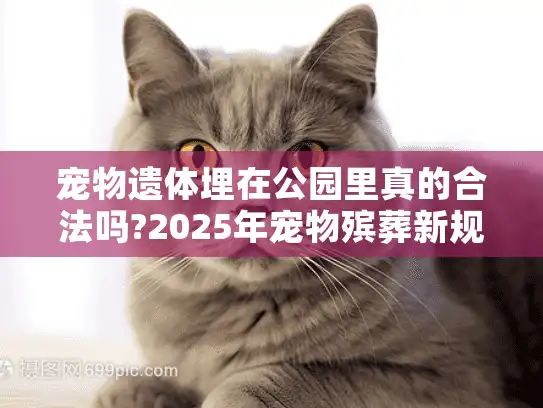宠物遗体埋在公园里真的合法吗?2025年宠物殡葬新规详解