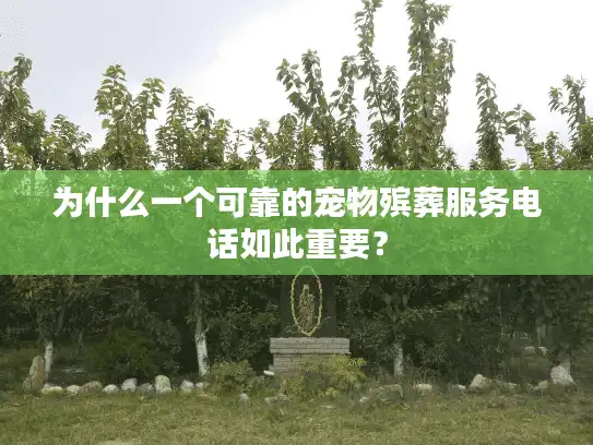 为什么一个可靠的宠物殡葬服务电话如此重要？