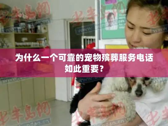 为什么一个可靠的宠物殡葬服务电话如此重要？