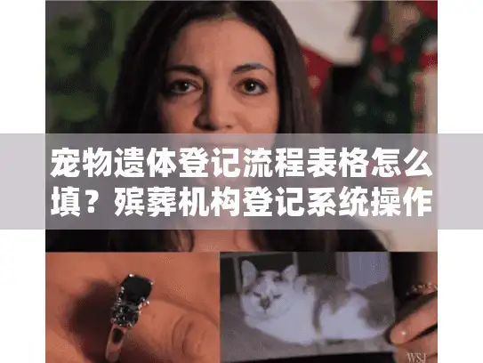 宠物遗体登记流程表格怎么填？殡葬机构登记系统操作指南