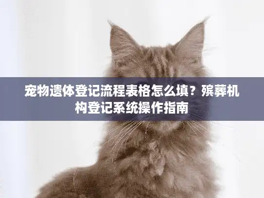宠物遗体登记流程表格怎么填？殡葬机构登记系统操作指南