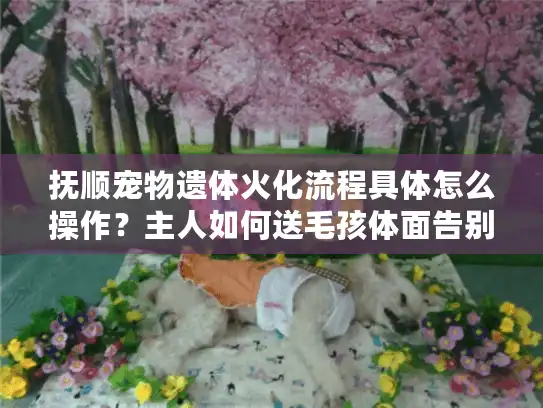抚顺宠物遗体火化流程具体怎么操作？主人如何送毛孩体面告别