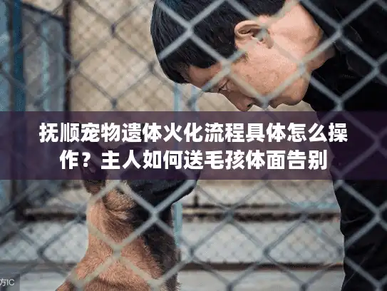 抚顺宠物遗体火化流程具体怎么操作？主人如何送毛孩体面告别