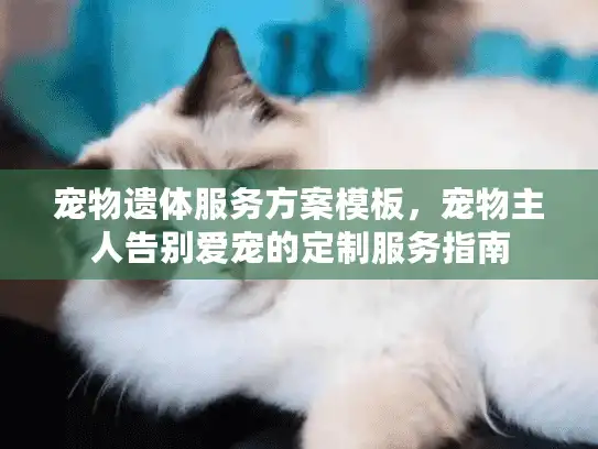 宠物遗体服务方案模板，宠物主人告别爱宠的定制服务指南