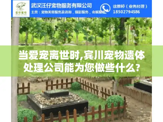 当爱宠离世时,宾川宠物遗体处理公司能为您做些什么?