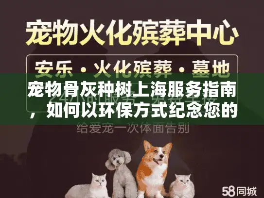 宠物骨灰种树上海服务指南，如何以环保方式纪念您的爱宠？