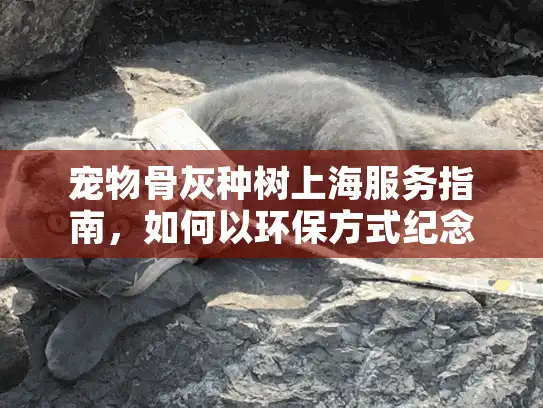 宠物骨灰种树上海服务指南，如何以环保方式纪念您的爱宠？