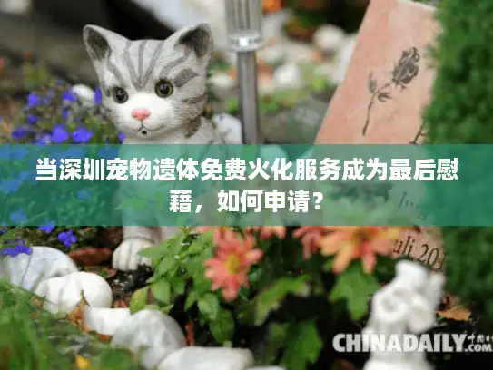 当深圳宠物遗体免费火化服务成为最后慰藉，如何申请？