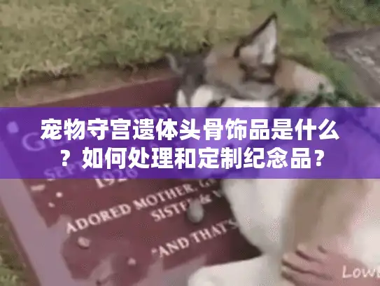 宠物守宫遗体头骨饰品是什么？如何处理和定制纪念品？