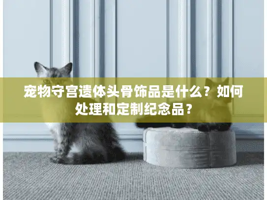 宠物守宫遗体头骨饰品是什么？如何处理和定制纪念品？
