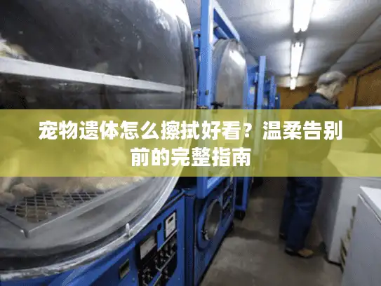 宠物遗体怎么擦拭好看？温柔告别前的完整指南
