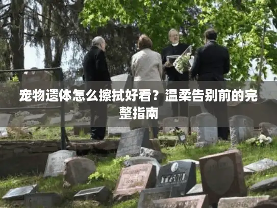 宠物遗体怎么擦拭好看？温柔告别前的完整指南