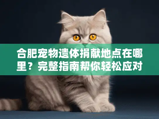 合肥宠物遗体捐献地点在哪里？完整指南帮你轻松应对