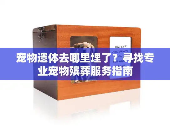 宠物遗体去哪里埋了？寻找专业宠物殡葬服务指南