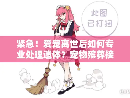 紧急！爱宠离世后如何专业处理遗体？宠物殡葬接送全流程指南