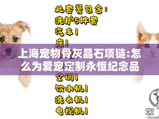 上海宠物骨灰晶石项链:怎么为爱宠定制永恒纪念品?