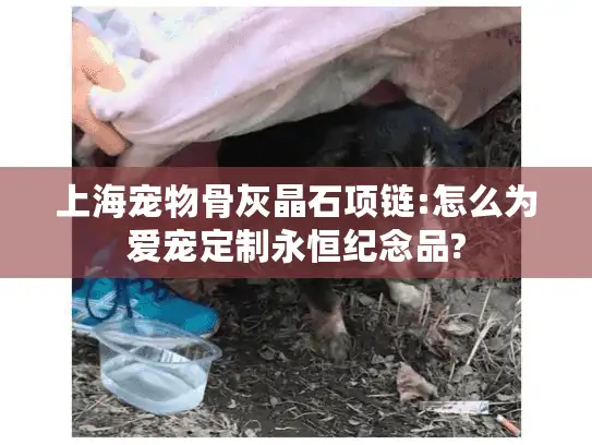 上海宠物骨灰晶石项链:怎么为爱宠定制永恒纪念品?