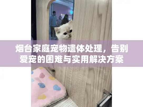 烟台家庭宠物遗体处理，告别爱宠的困难与实用解决方案