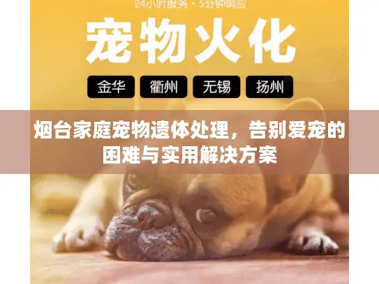 烟台家庭宠物遗体处理，告别爱宠的困难与实用解决方案