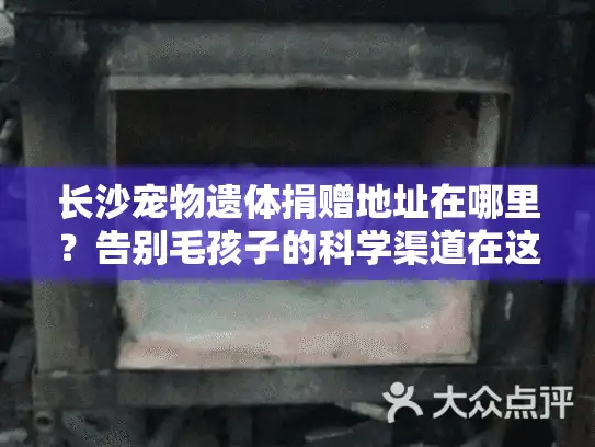 长沙宠物遗体捐赠地址在哪里？告别毛孩子的科学渠道在这里