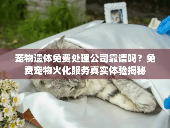 宠物遗体免费处理公司靠谱吗？免费宠物火化服务真实体验揭秘