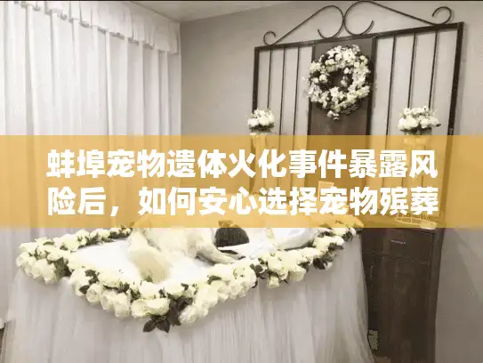 蚌埠宠物遗体火化事件暴露风险后，如何安心选择宠物殡葬服务？