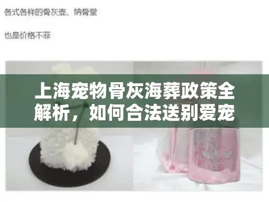 上海宠物骨灰海葬政策全解析，如何合法送别爱宠最后一程