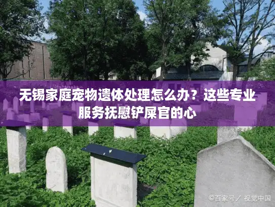 无锡家庭宠物遗体处理怎么办？这些专业服务抚慰铲屎官的心