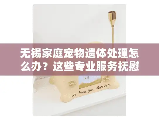 无锡家庭宠物遗体处理怎么办？这些专业服务抚慰铲屎官的心