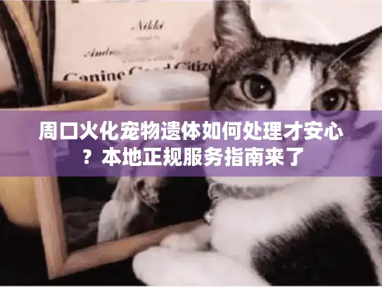 周口火化宠物遗体如何处理才安心？本地正规服务指南来了