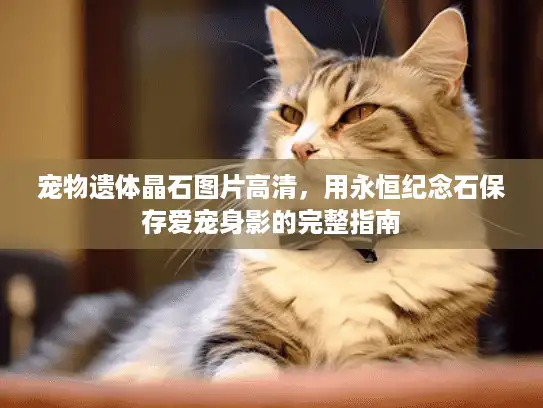 宠物遗体晶石图片高清，用永恒纪念石保存爱宠身影的完整指南