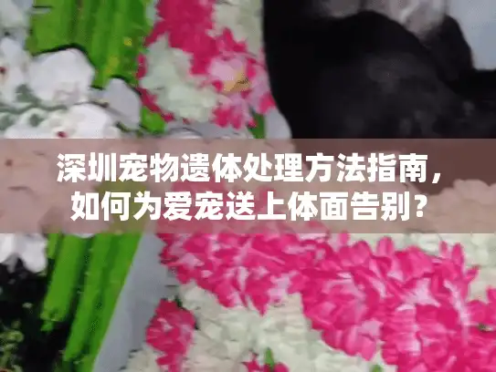 深圳宠物遗体处理方法指南，如何为爱宠送上体面告别？