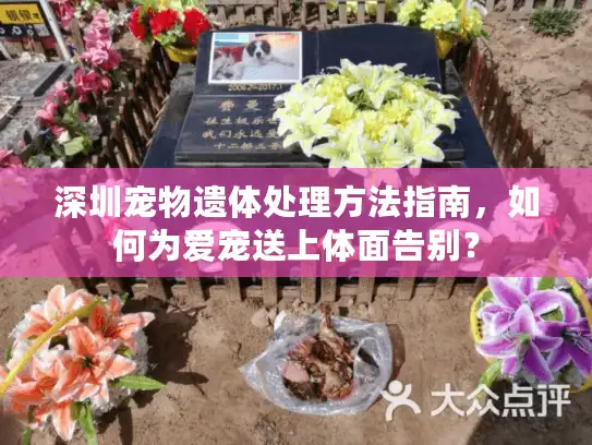 深圳宠物遗体处理方法指南，如何为爱宠送上体面告别？