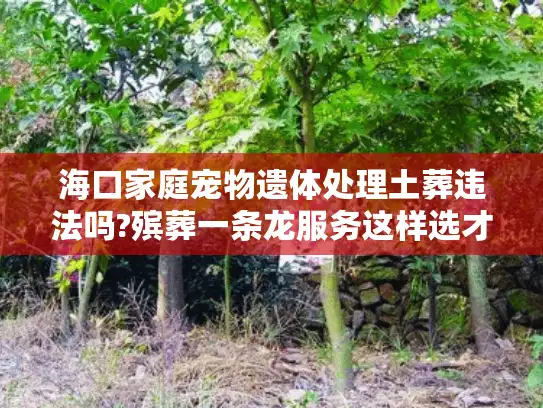 海口家庭宠物遗体处理土葬违法吗?殡葬一条龙服务这样选才靠谱