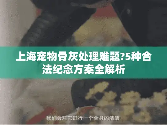 上海宠物骨灰处理难题?5种合法纪念方案全解析