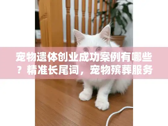 宠物遗体创业成功案例有哪些？精准长尾词，宠物殡葬服务创新模式探秘