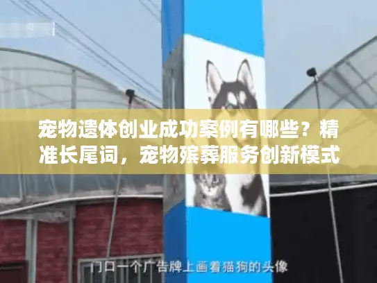 宠物遗体创业成功案例有哪些？精准长尾词，宠物殡葬服务创新模式探秘