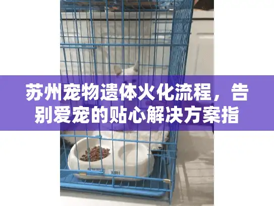 苏州宠物遗体火化流程，告别爱宠的贴心解决方案指南