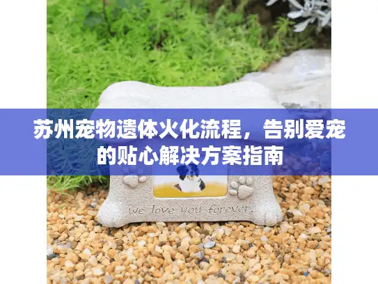 苏州宠物遗体火化流程，告别爱宠的贴心解决方案指南